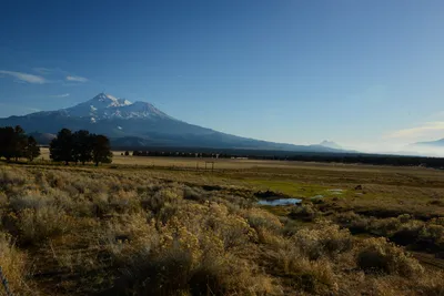 DSC_3009 (Large).JPG